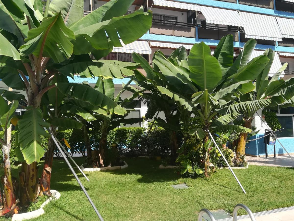 Acogedor Estudio Con Piscina Y Cerca De La Playa ปูแอร์โตเดลาครูซ ภายนอก รูปภาพ